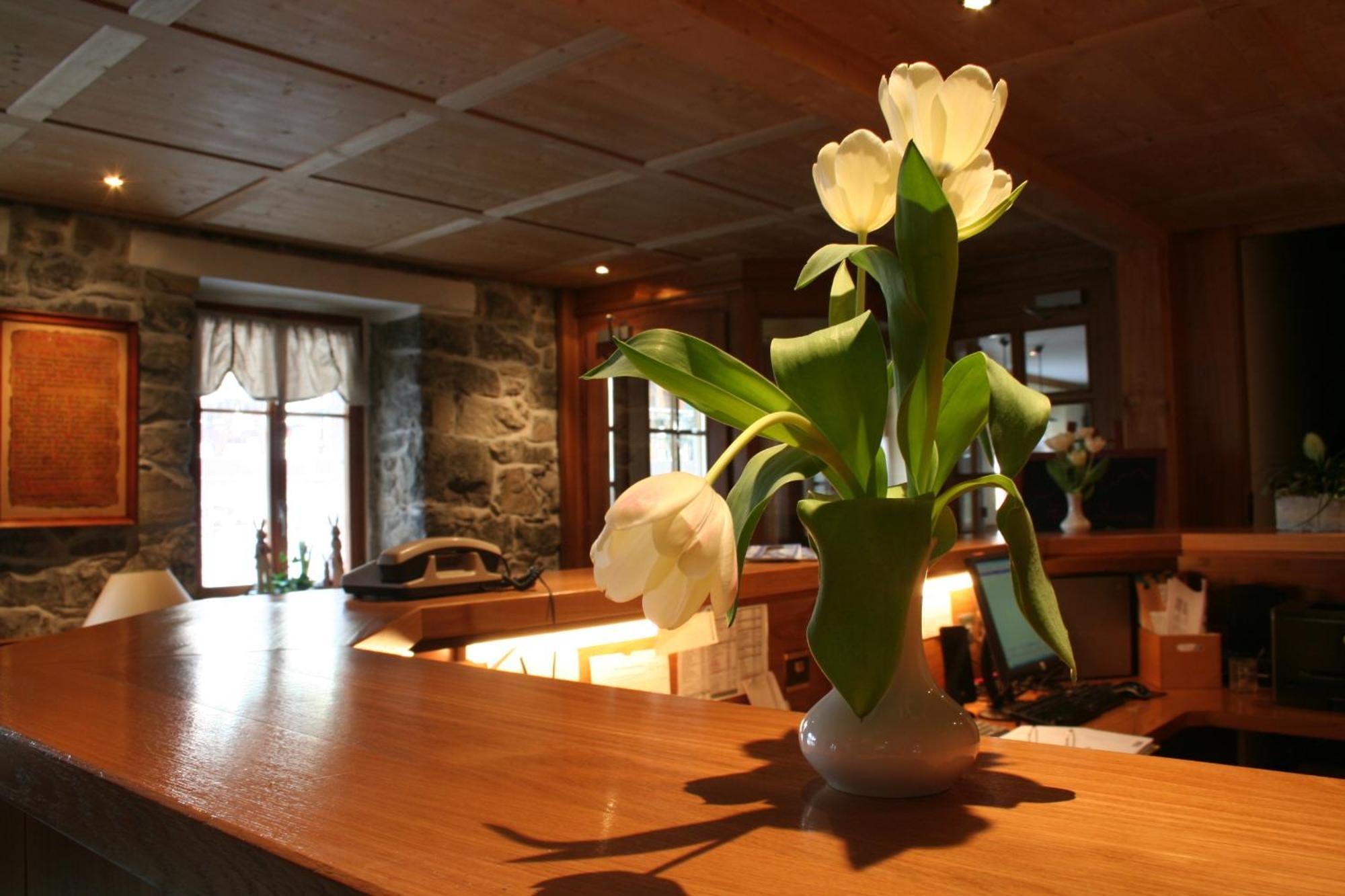 Hotel Suisse Champéry Εξωτερικό φωτογραφία